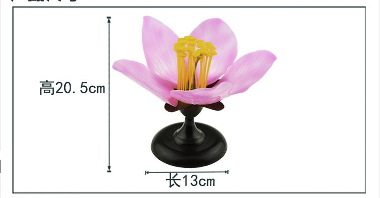 桃花/桃花模型/花类识别初高中白底实物图