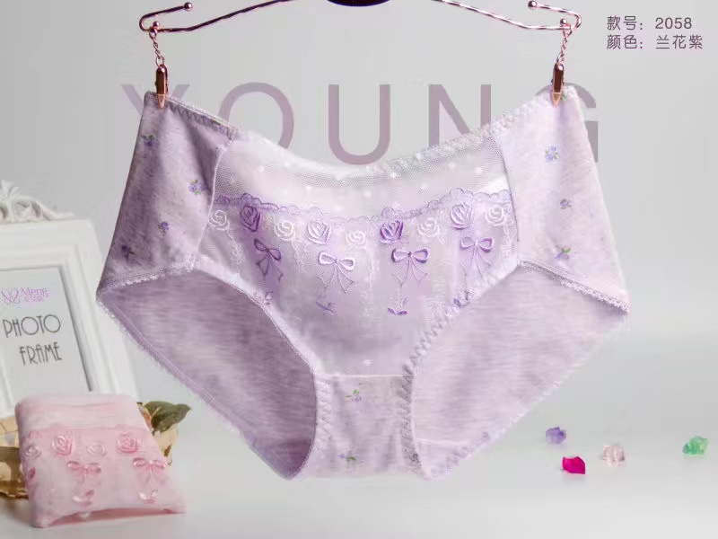 Manufacturers Direct Seamless Underwear Soft Super Elastic Color Super Multi-Mesh Hollowed Out Girl Small Waist Underwear 2058 details Picture