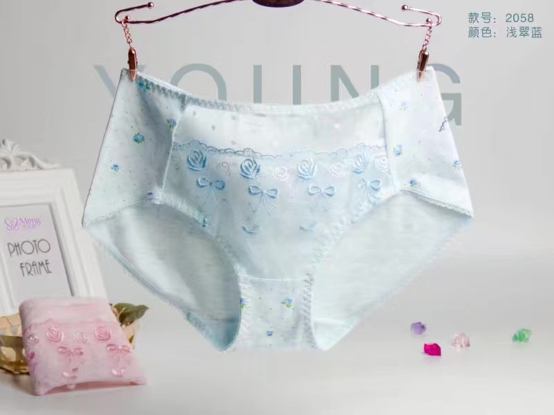 Manufacturers Direct Seamless Underwear Soft Super Elastic Color Super Multi-Mesh Hollowed Out Girl Small Waist Underwear 2058 Item Picture
