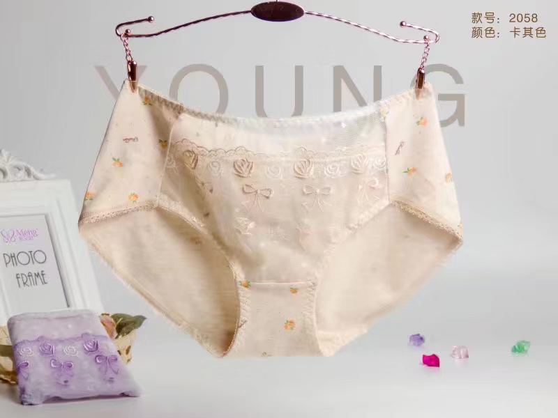 Manufacturers Direct Seamless Underwear Soft Super Elastic Color Super Multi-Mesh Hollowed Out Girl Small Waist Underwear 2058 Application Scenario