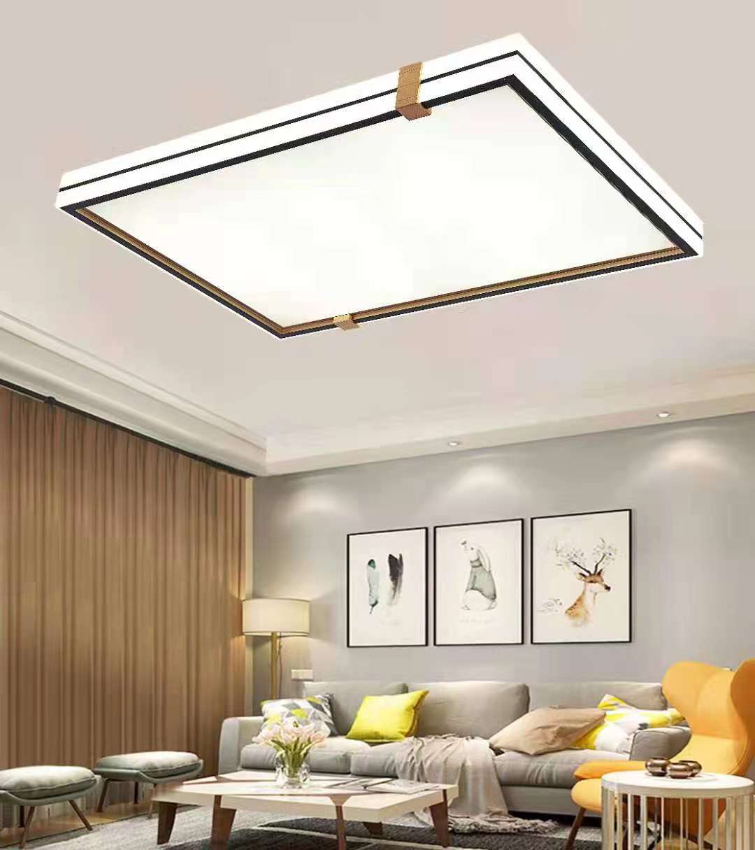 C801 new model living room lamp details Picture