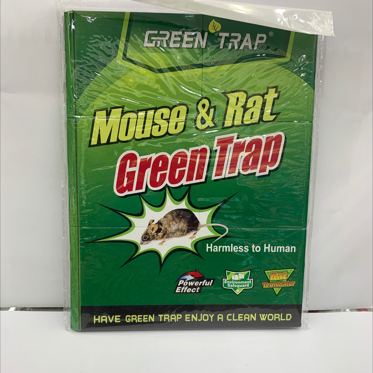 普通版全英文粘鼠板贴强力灭大老鼠贴粘鼠胶板厂家直销