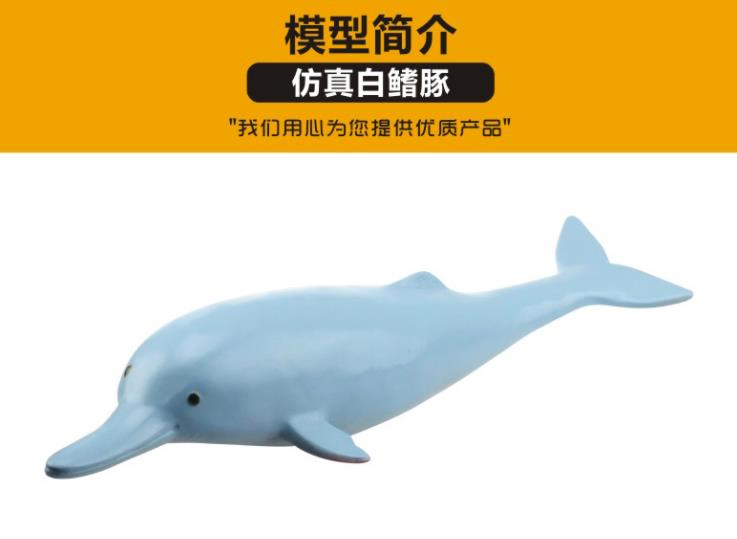 教学演示用品实物图