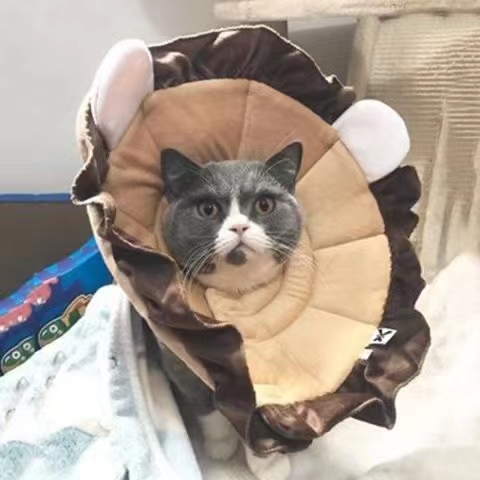 伊丽莎白圈/宠物用品脖圈/宠物猫狗脖圈细节图