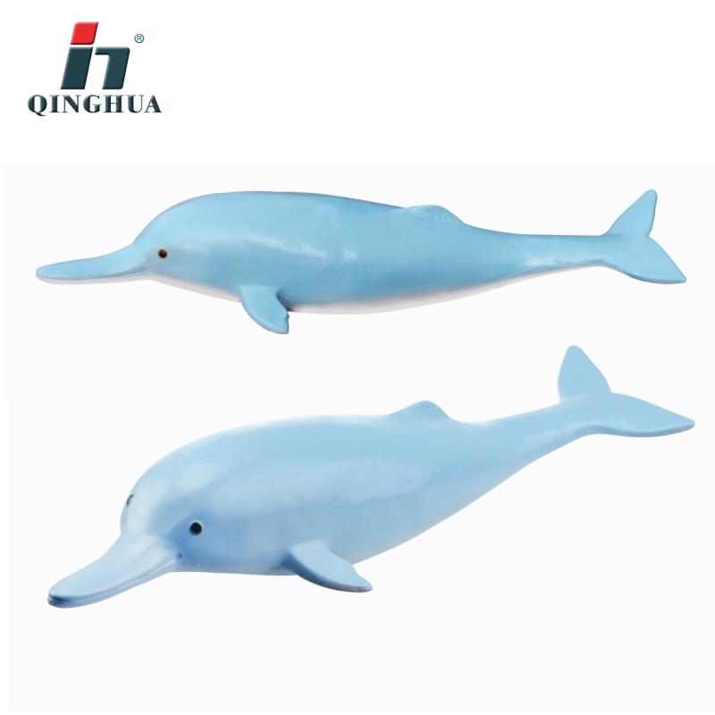 白暨豚/仿真白暨豚/白暨豚教学细节图