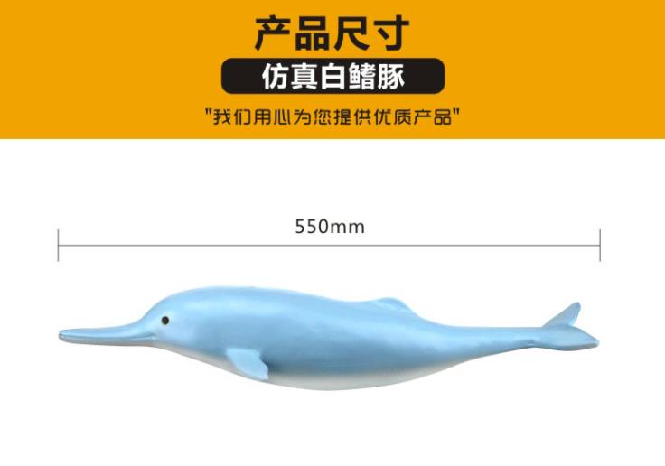白暨豚/仿真白暨豚/白暨豚教学产品图