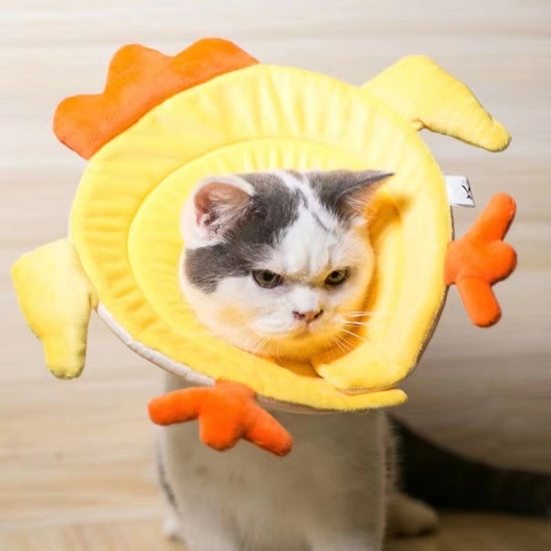 伊丽莎白圈/宠物用品脖圈/宠物猫狗脖圈白底实物图