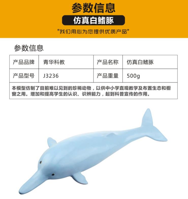 白暨豚/仿真白暨豚/白暨豚教学白底实物图
