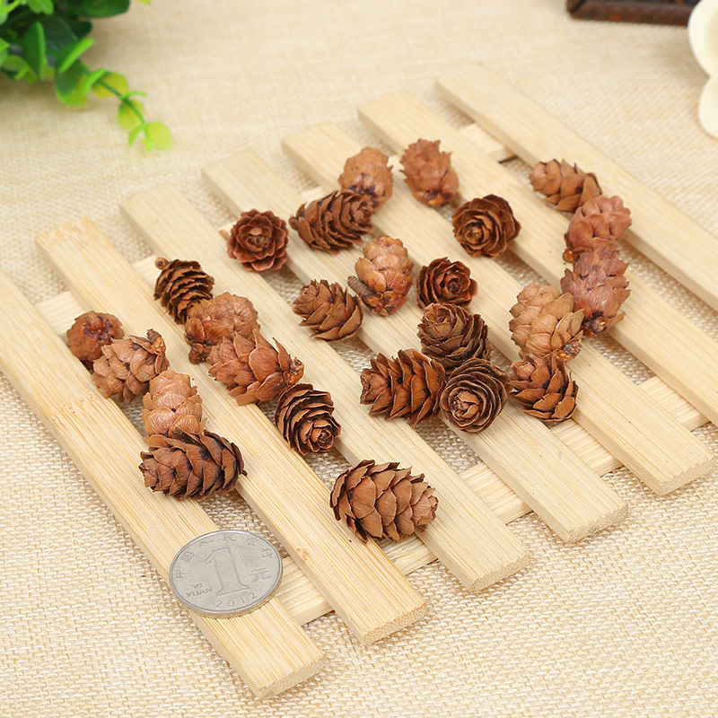 Santa Li Christmas Decorations 1-2Cm Larch Decorative Accessories Mini Pine Flower Dried Flowers Diy Pine Cone Wholesale Item Picture