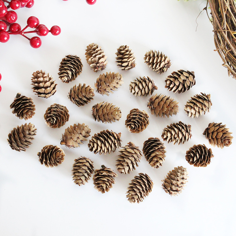 Santa Li Christmas Decorations 1-2Cm Larch Decorative Accessories Mini Pine Flower Dried Flowers Diy Pine Cone Wholesale full figure