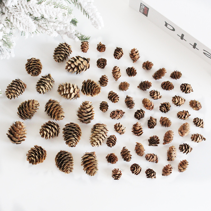 Santa Li Christmas Decorations 1-2Cm Larch Decorative Accessories Mini Pine Flower Dried Flowers Diy Pine Cone Wholesale Specification drawing