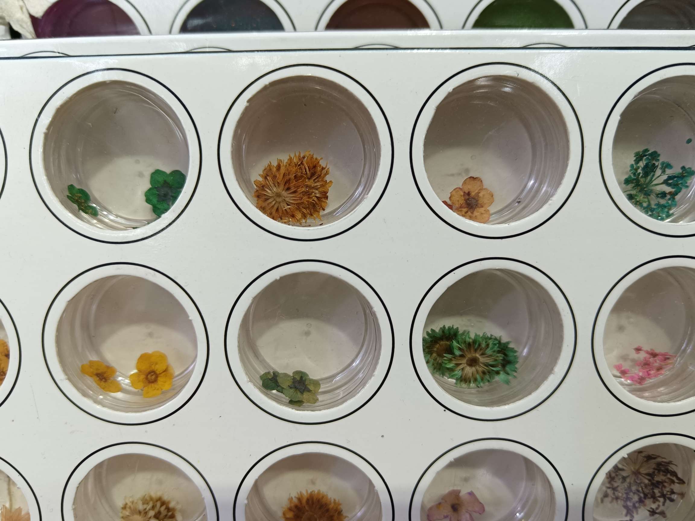 美甲产品/美甲/指甲细节图