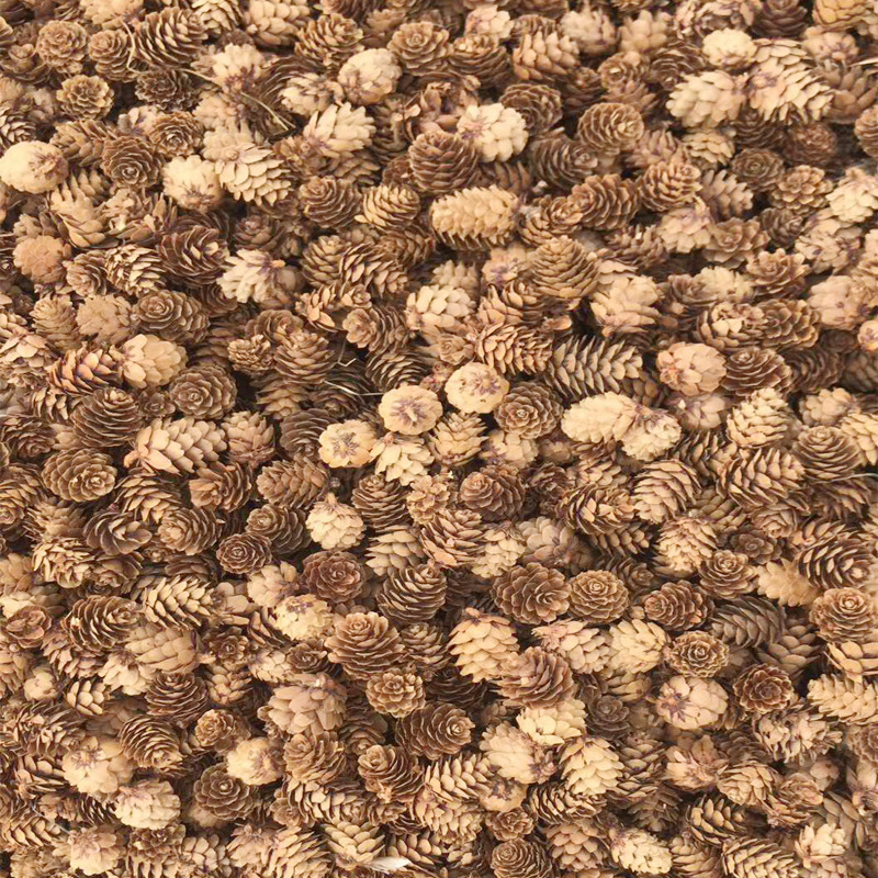 Santa Li Christmas Decorations 1-2Cm Larch Decorative Accessories Mini Pine Flower Dried Flowers Diy Pine Cone Wholesale Application Scenario