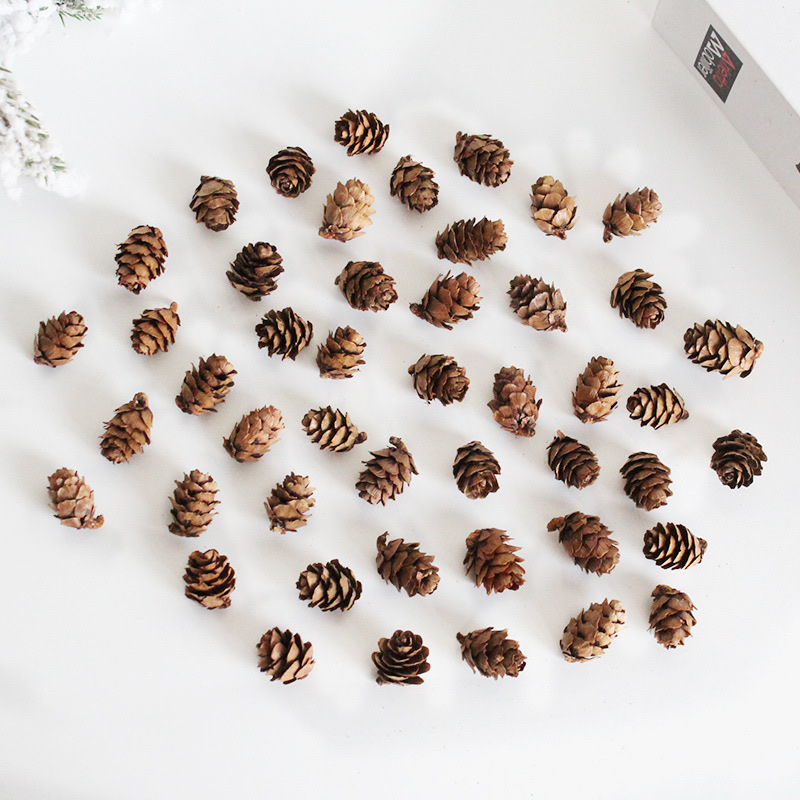 Santa Li Christmas Decorations 1-2Cm Larch Decorative Accessories Mini Pine Flower Dried Flowers Diy Pine Cone Wholesale details Picture