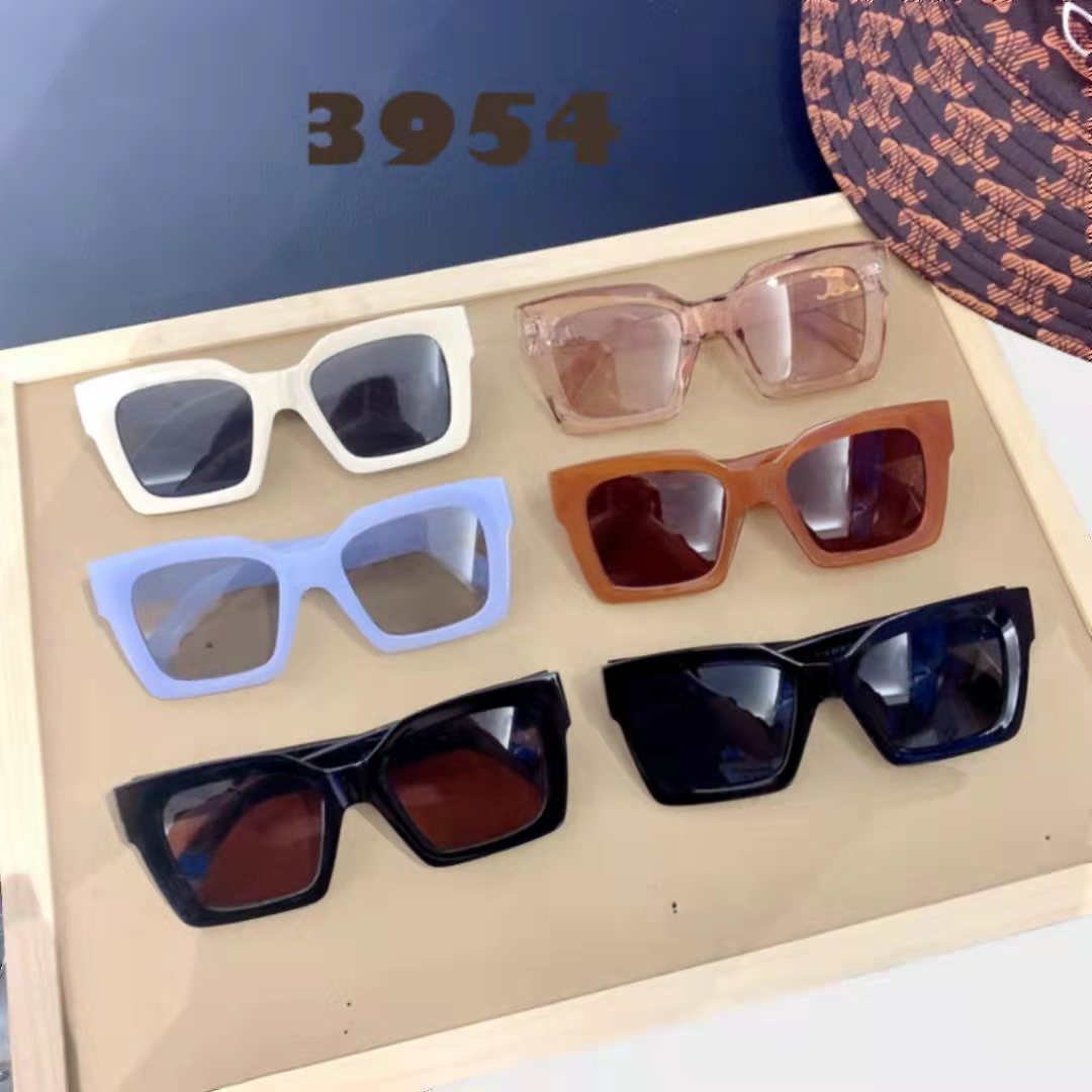 Sunglasses 3954