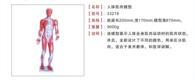 教学演示用品实物图