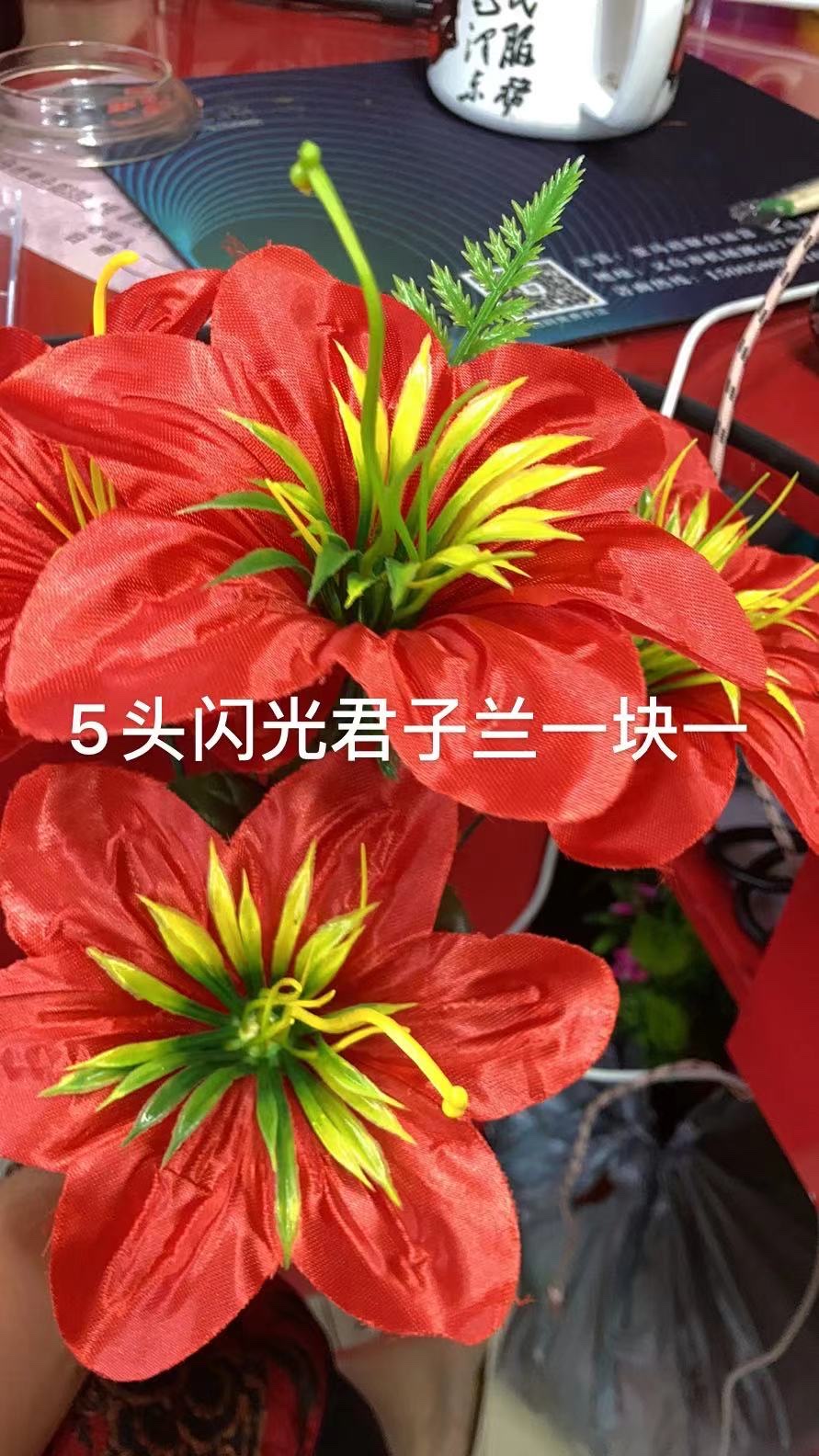 Пять сияющих монархий details Picture