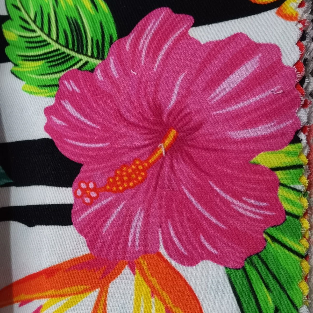Chintz