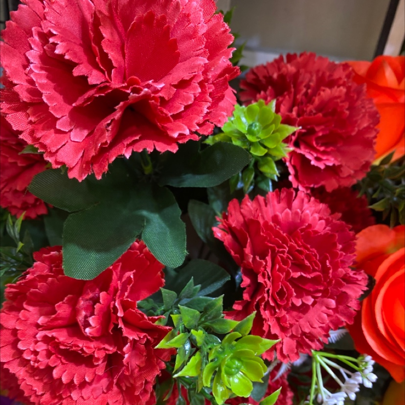 12头毛布康乃馨厂家直销