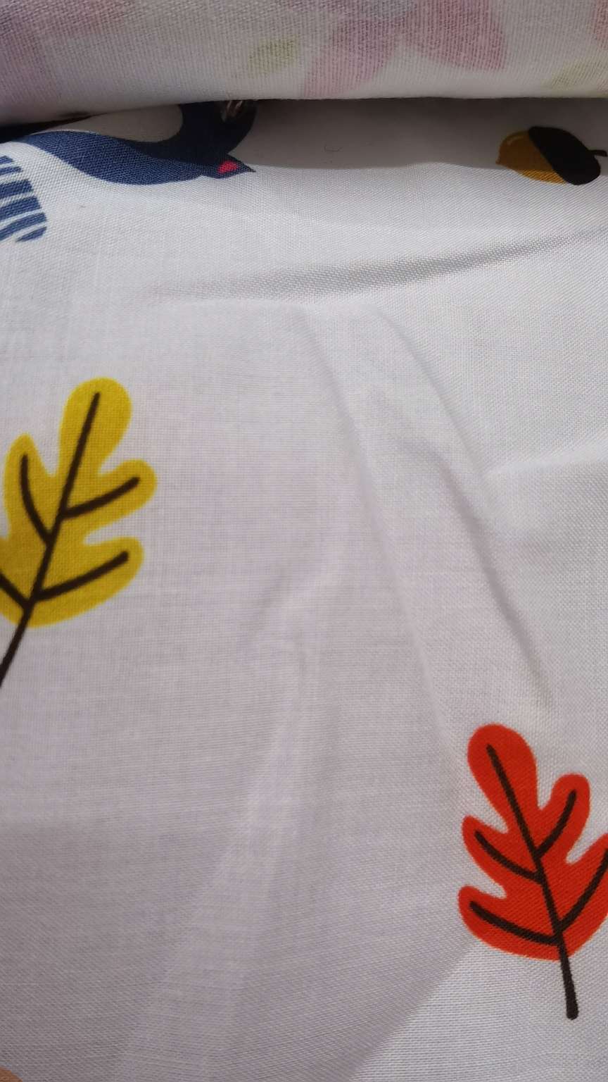 Cotton Muslin details Picture