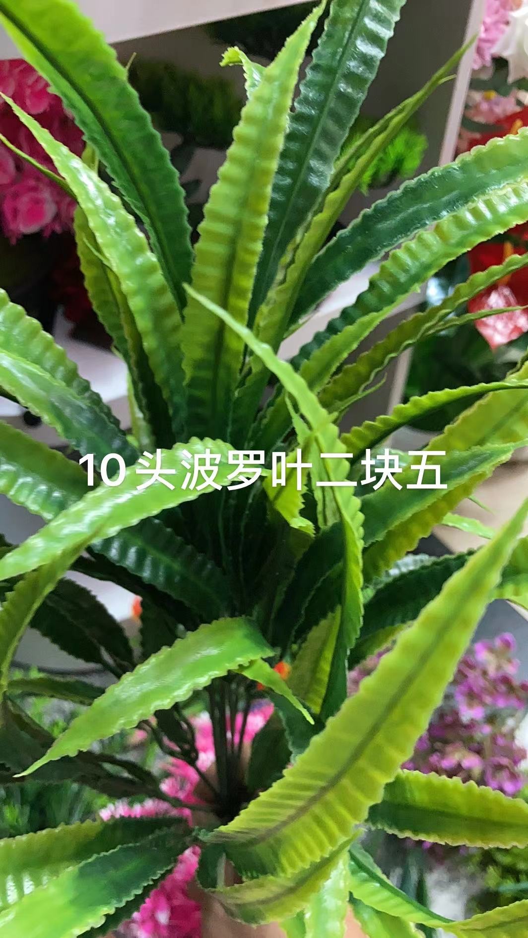 10 Pineapple leaves details Picture