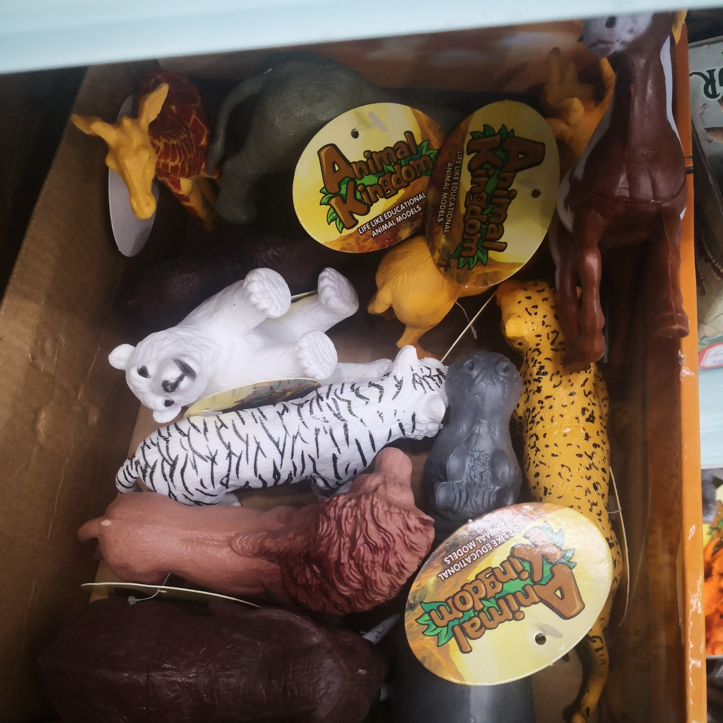 盒装多款野生动物