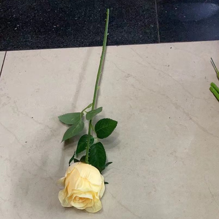 Одноцветный сезон