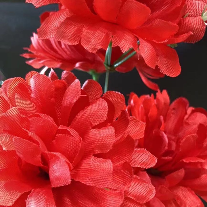 Five small ball chrysanthemums
