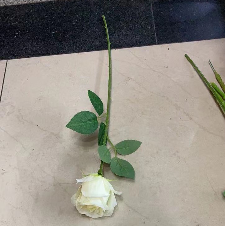 Одноцветная Роза