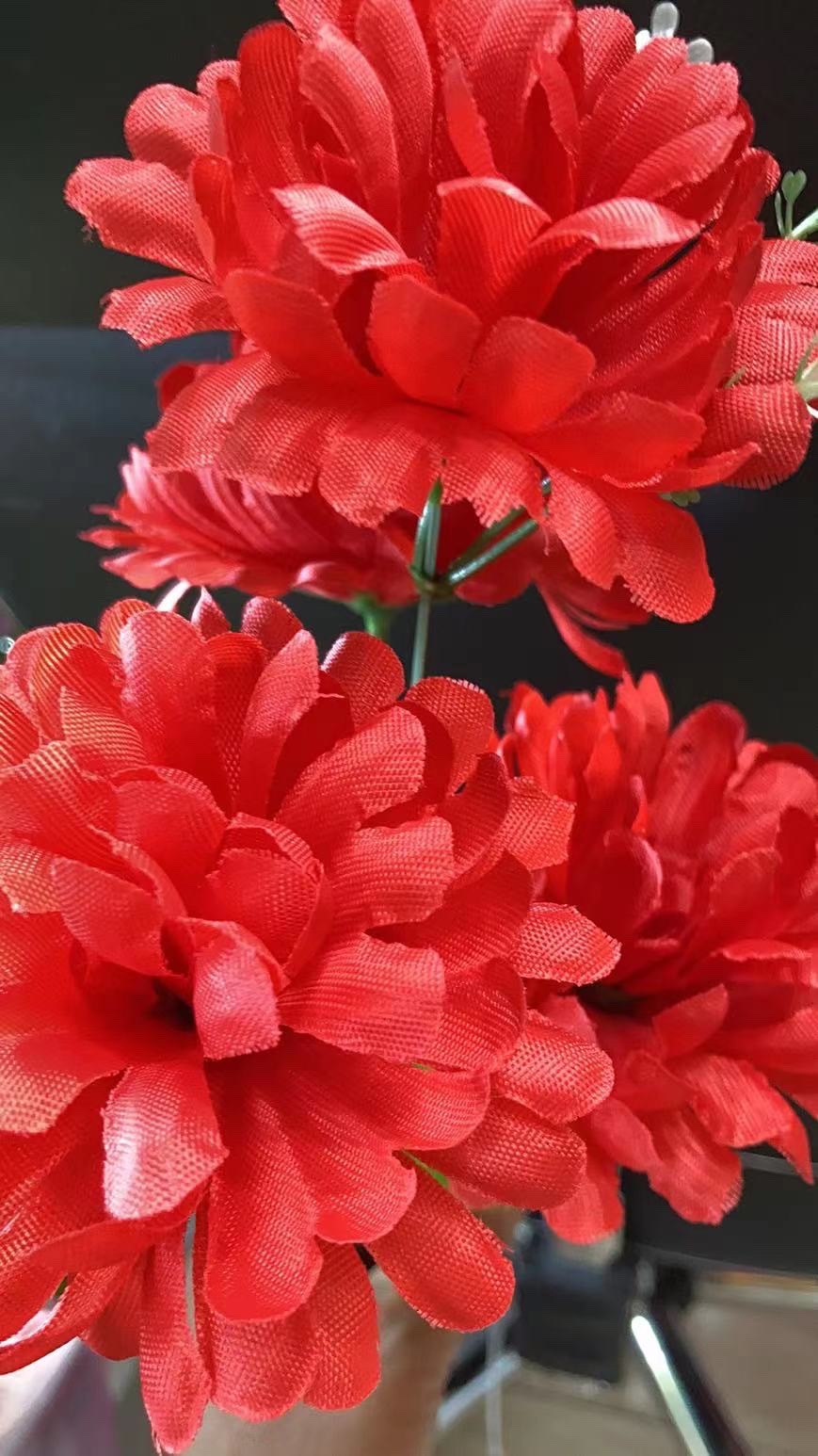 Five small ball chrysanthemums details Picture