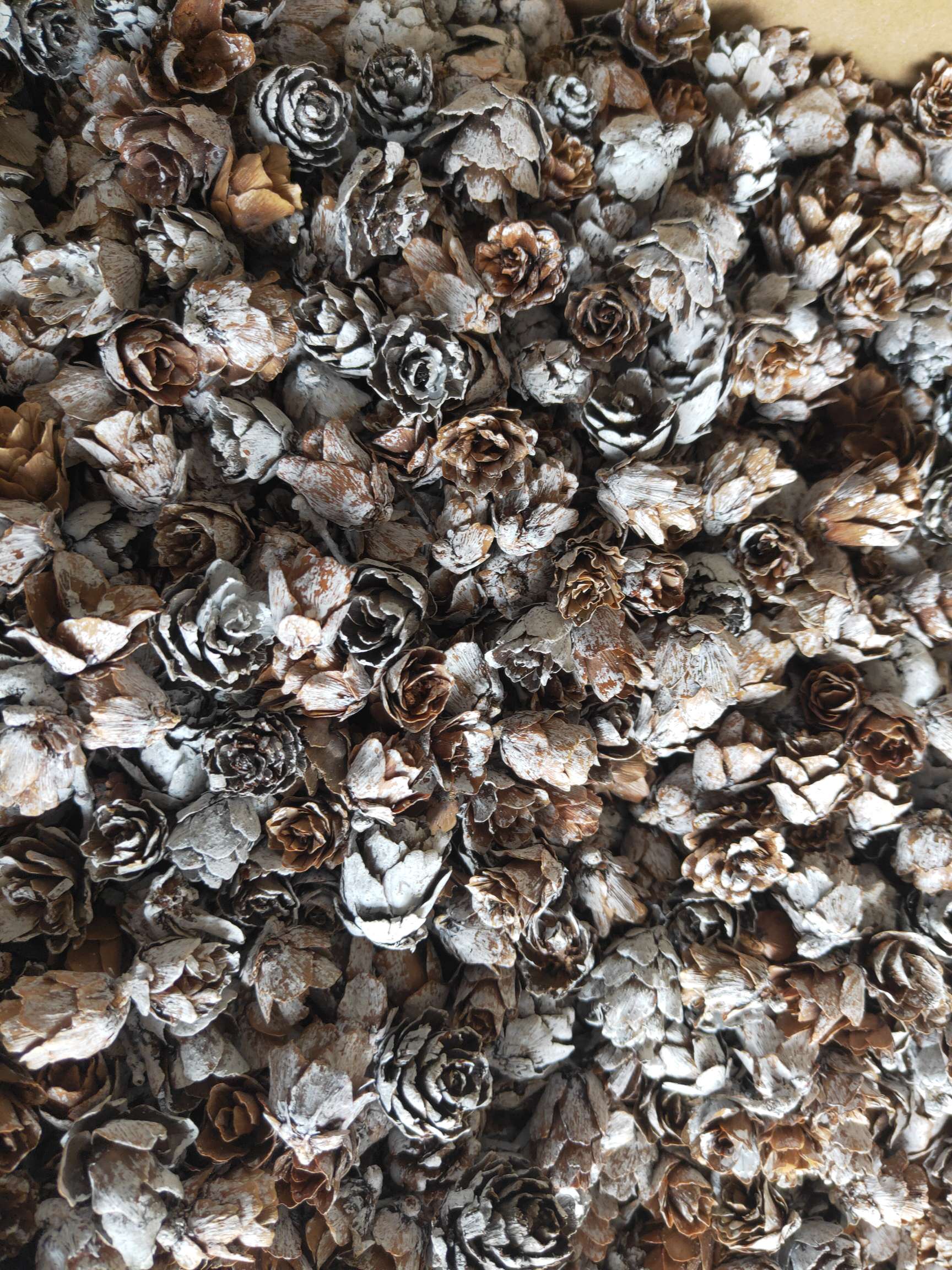White Larch Flowers, Small Pinecones For Decorating Pinecones, Wild Children's Handmade Creative Diy Kindergarten Ornaments Materials details Picture