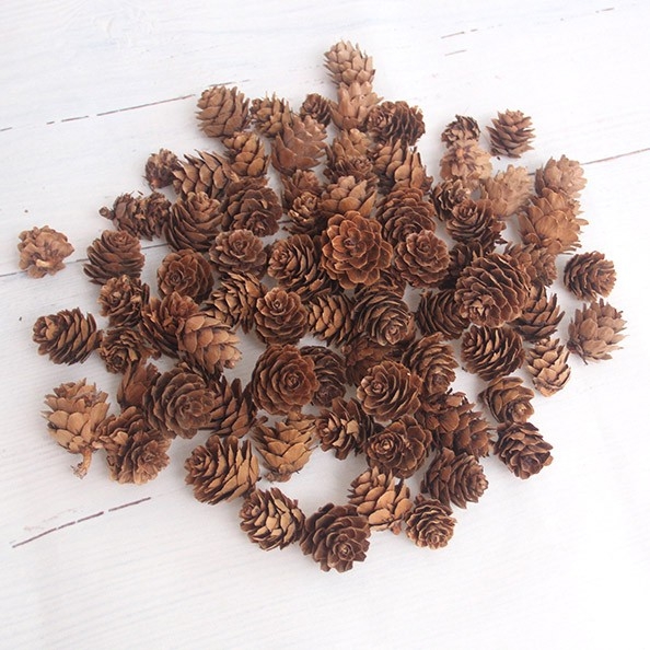 White Larch Flowers, Small Pinecones For Decorating Pinecones, Wild Children's Handmade Creative Diy Kindergarten Ornaments Materials