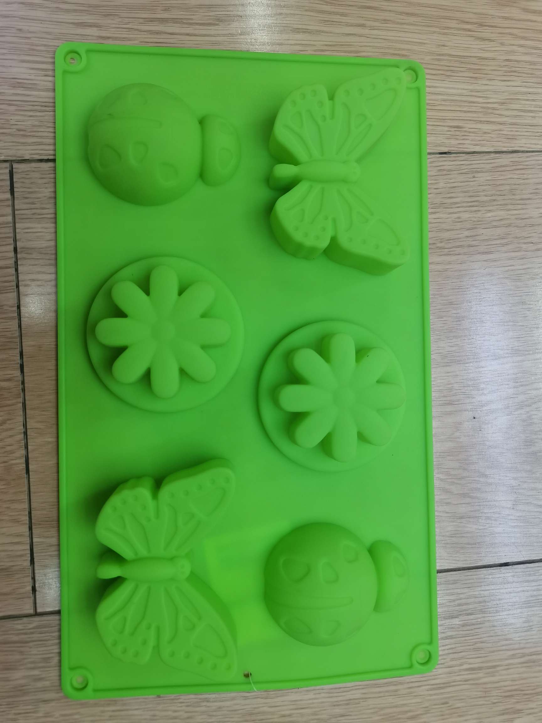 Insect-shaped silicone mold details Picture