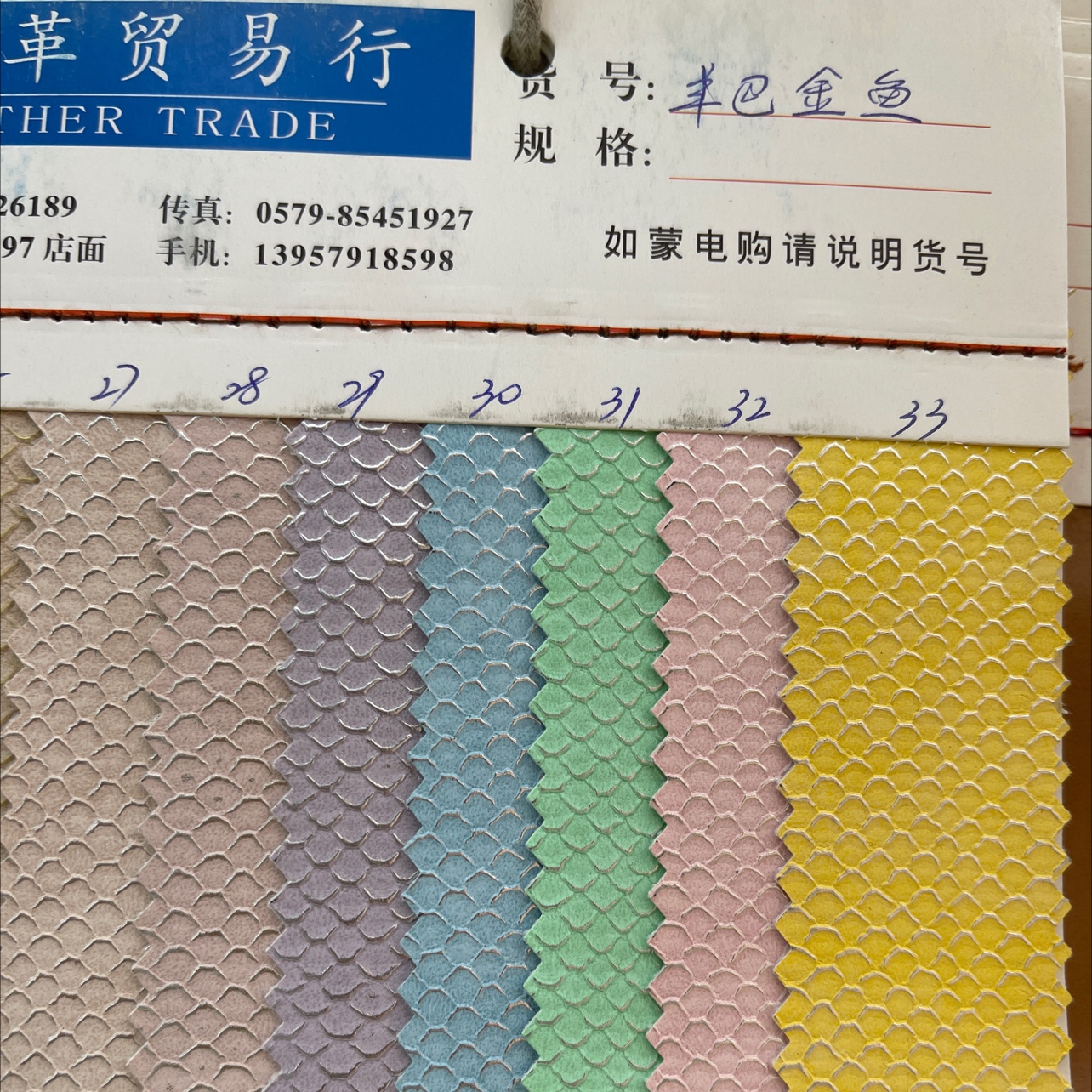 羊巴金鱼白底实物图