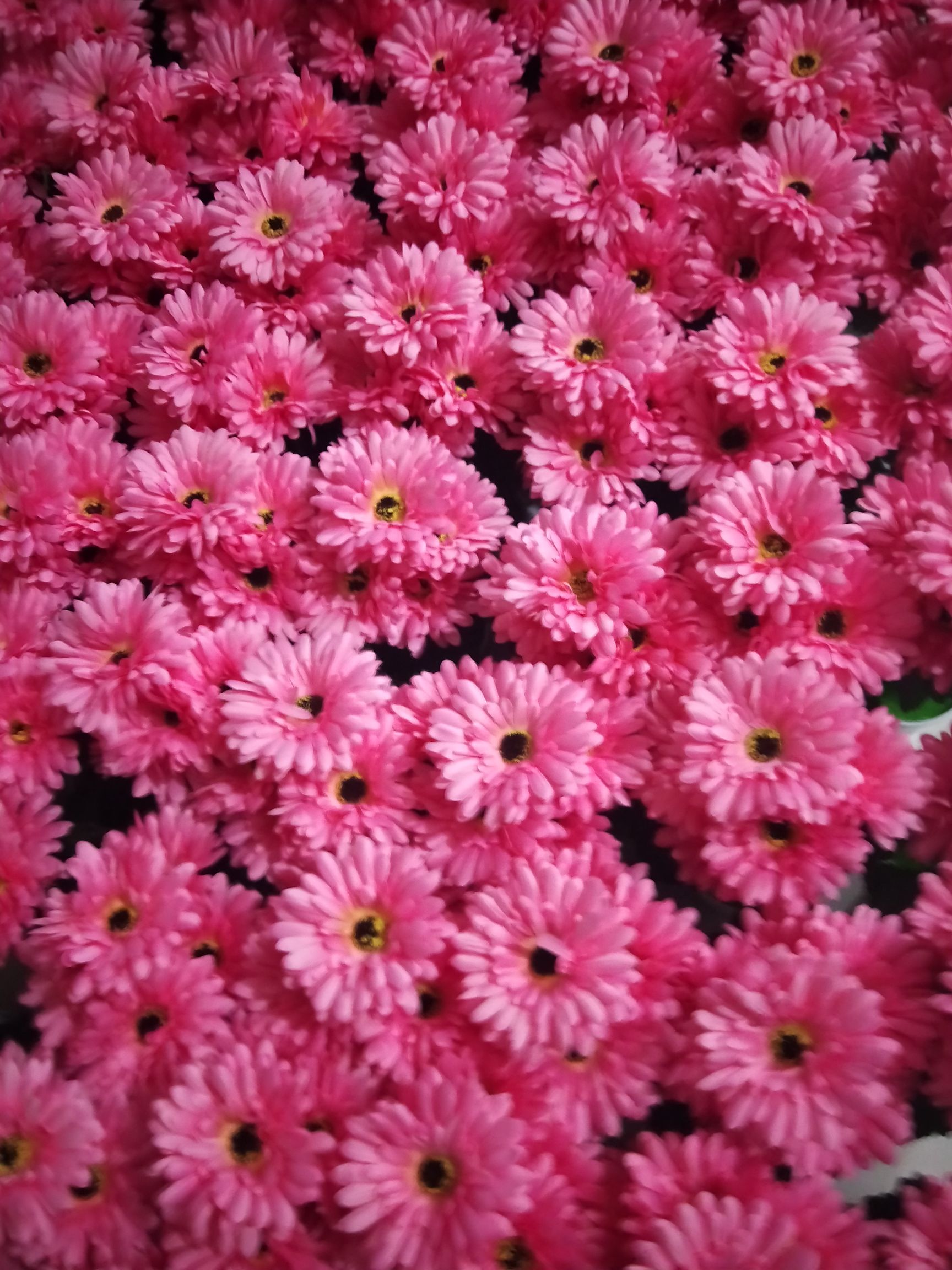 松柏仿真绿植花盆假花摆件 家居装饰艺术品 逼真仿真花盆装饰品 绿色植物摆设