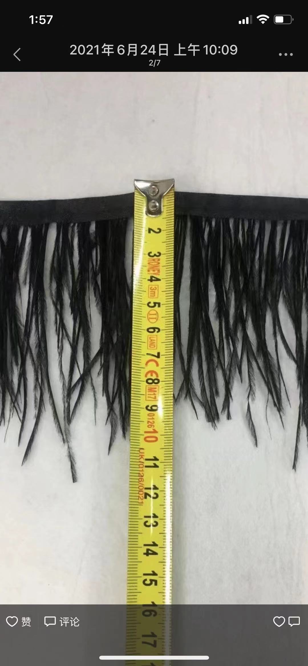 Ostrich Wool Border