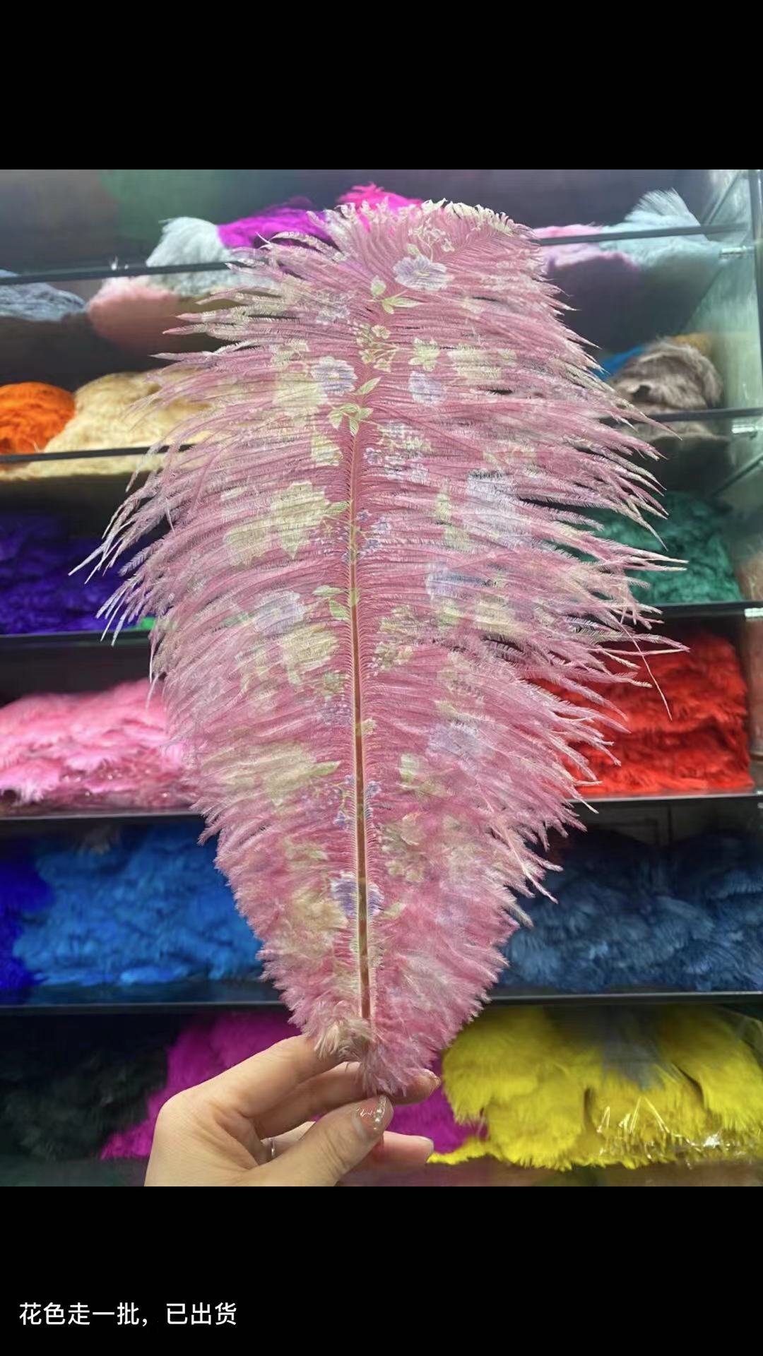 Ostrich Feather