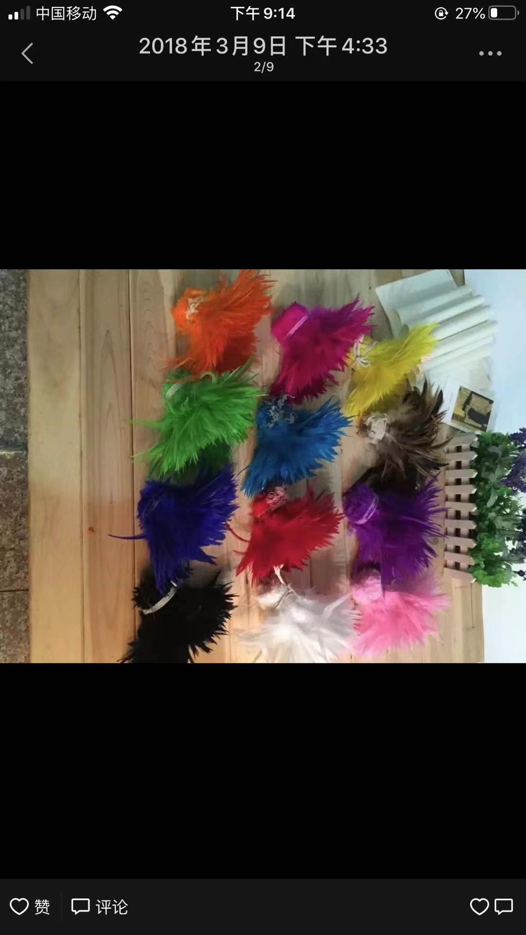Chicken Feather details Picture