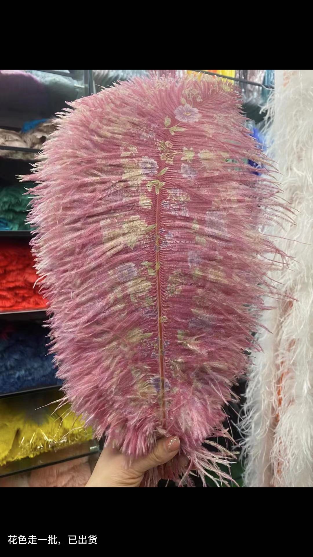 Ostrich Feather