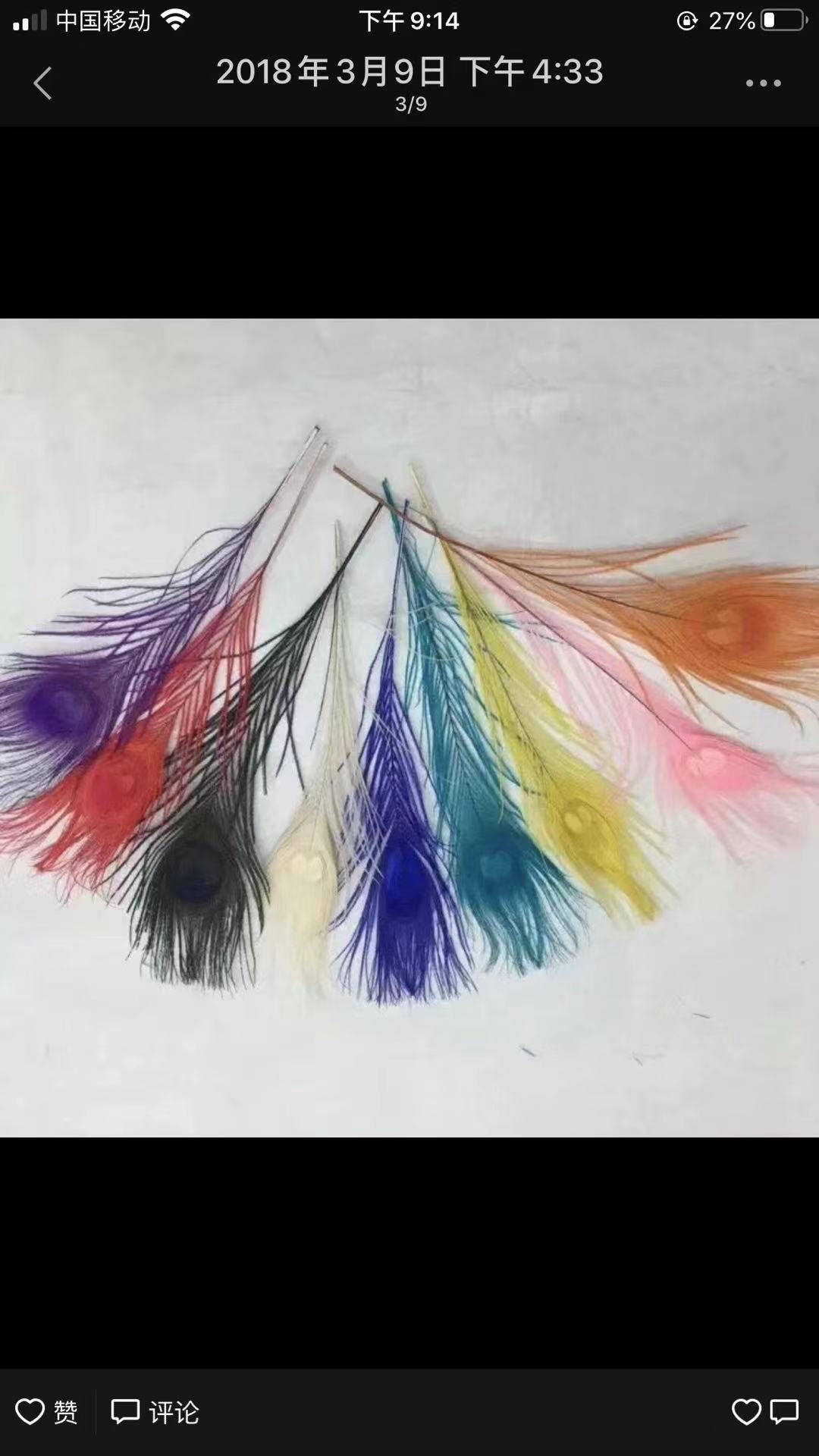 Peacock Feather