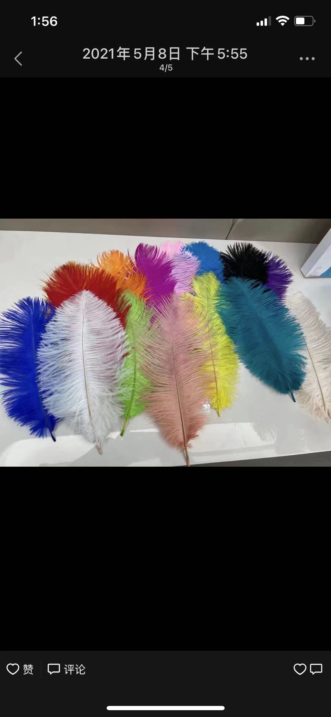 Ostrich Feather Showcase-Natural Elegant Lustre Shows Extraordinary Taste