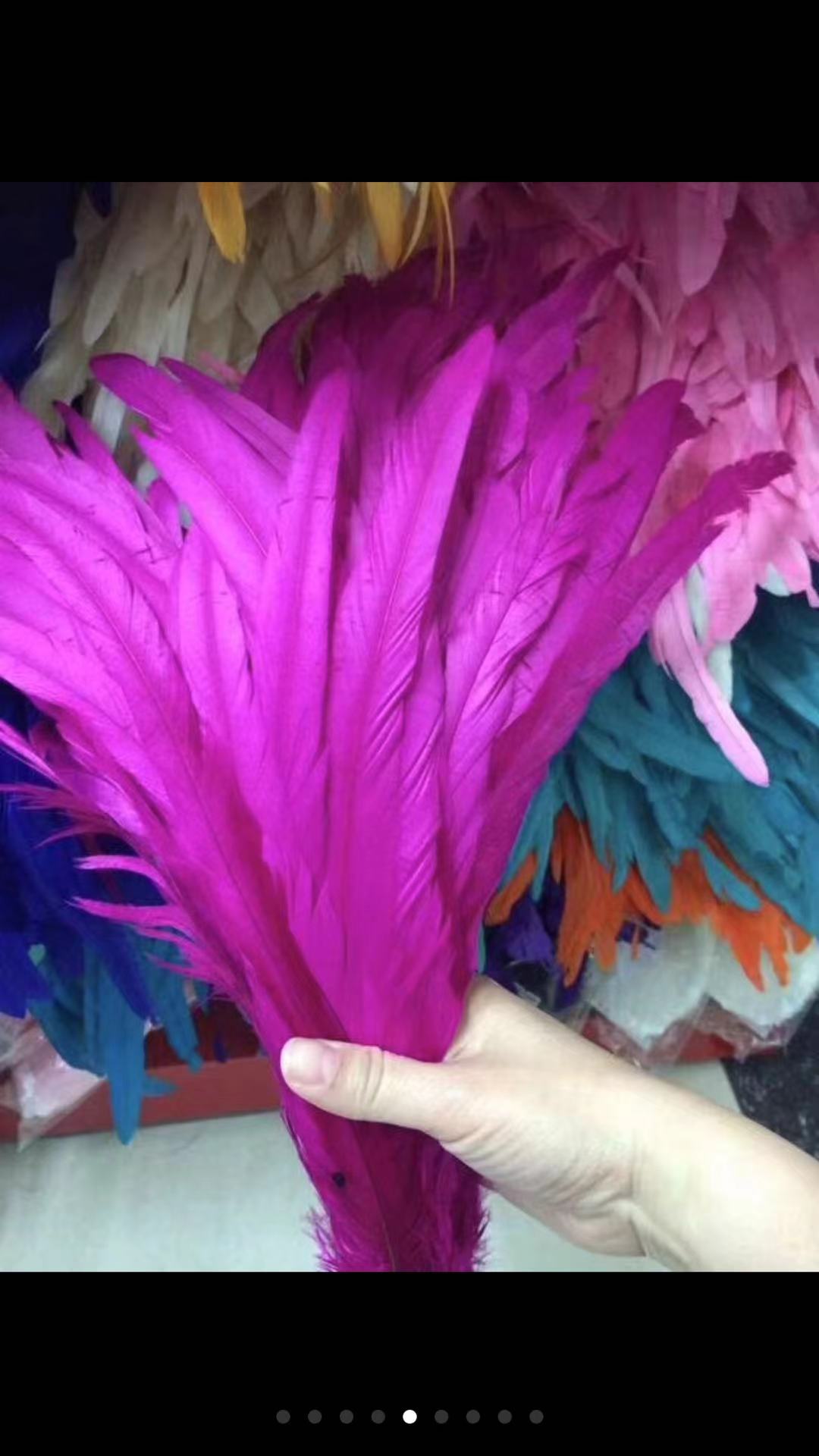 Tail Hair