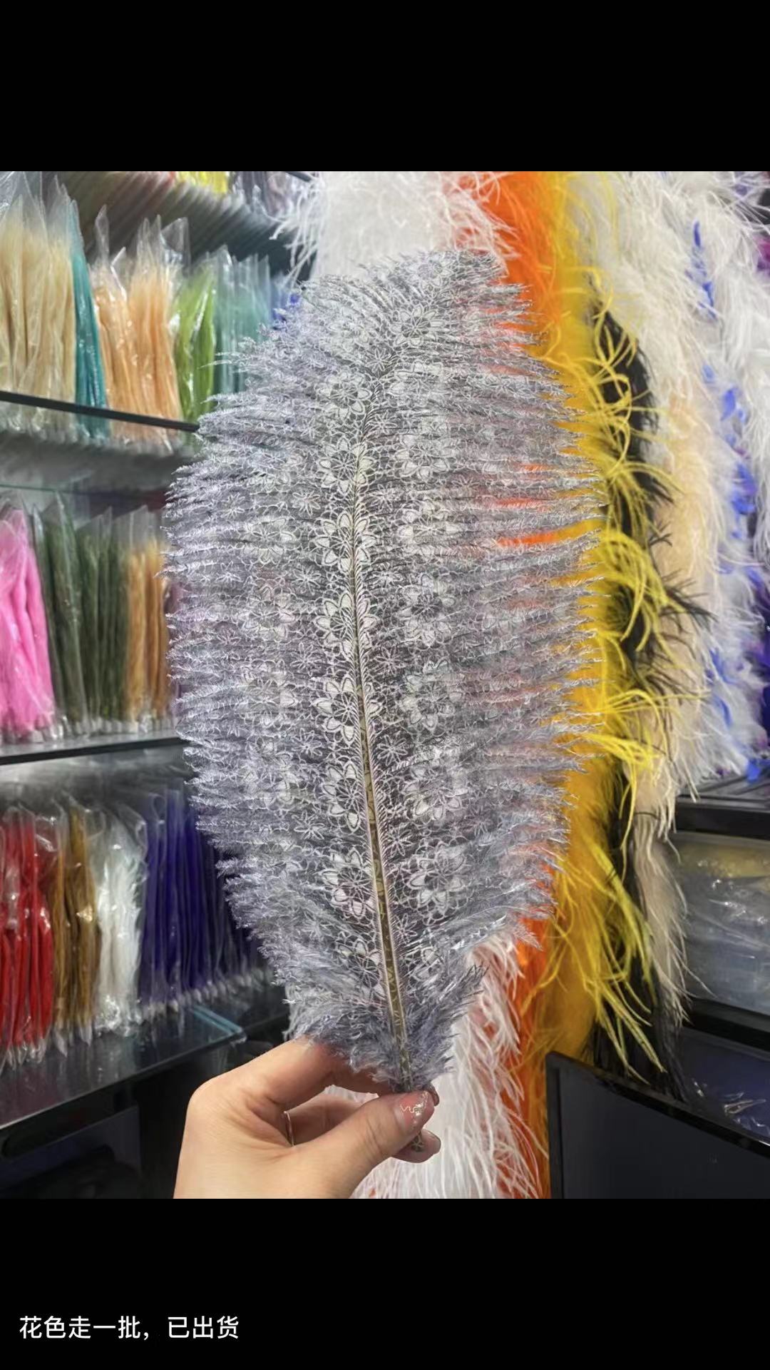 Ostrich Feather