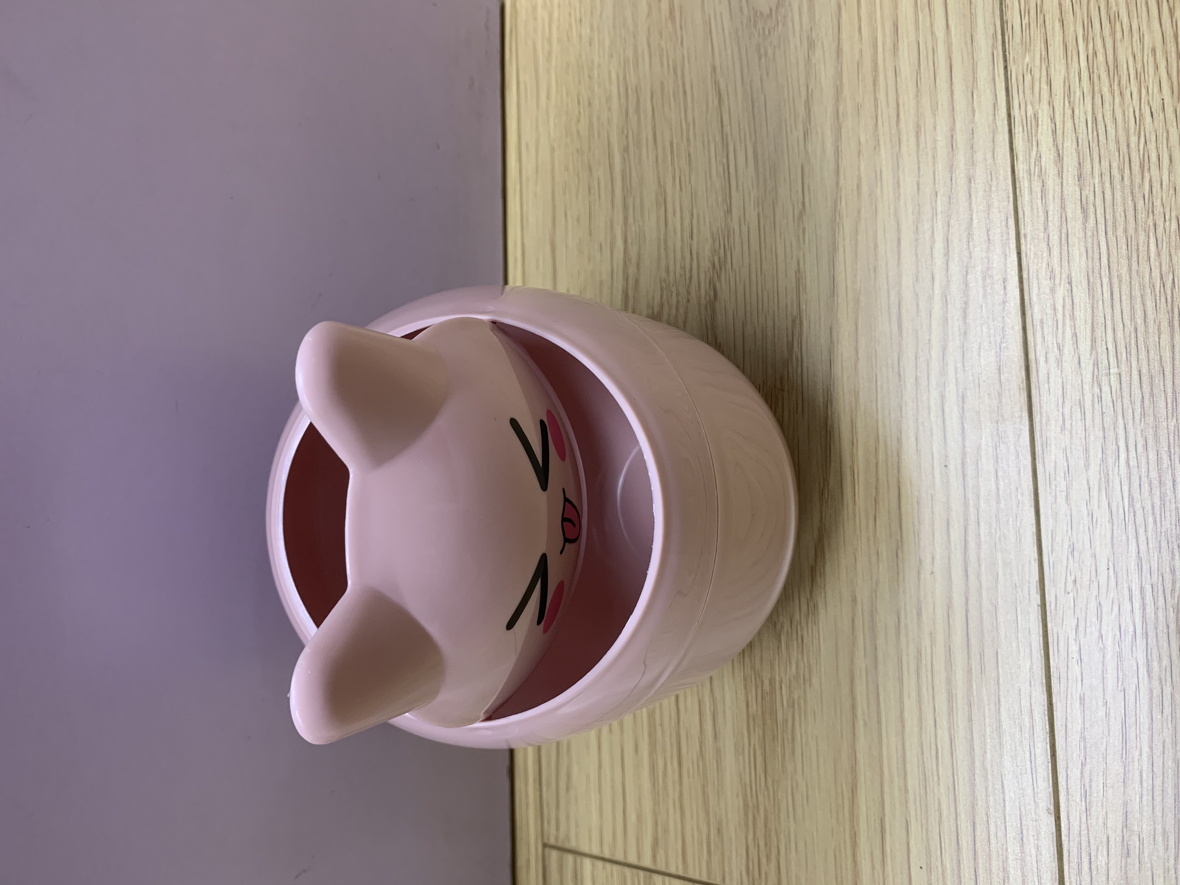 Pink Desktop Trash Can details Picture