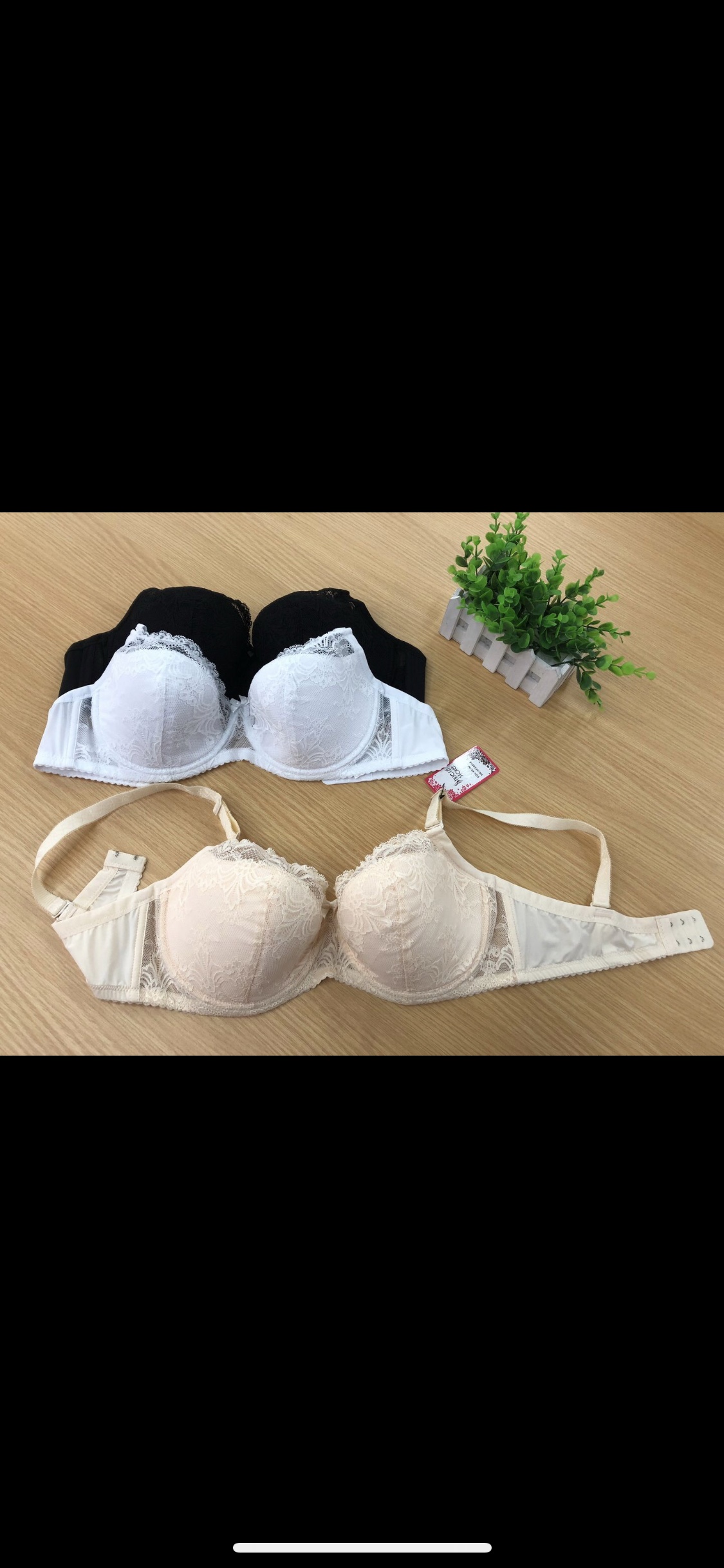 Fashion Bras Bras 485 Specification drawing
