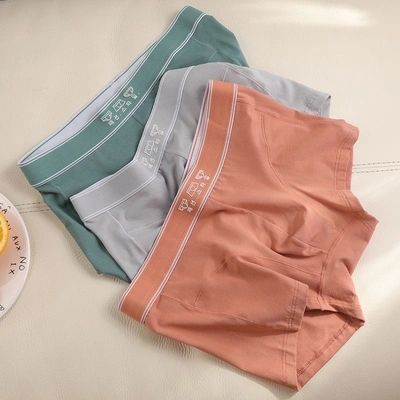 Spring Summer Men's Underpants Modal Cotton Flat Corner Mid-Waist Student Sports Short Shorts Youth Underpants Boxers