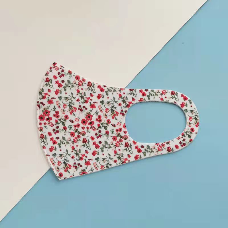 Clean Fashion Mask 5 [For Foreign Trade]