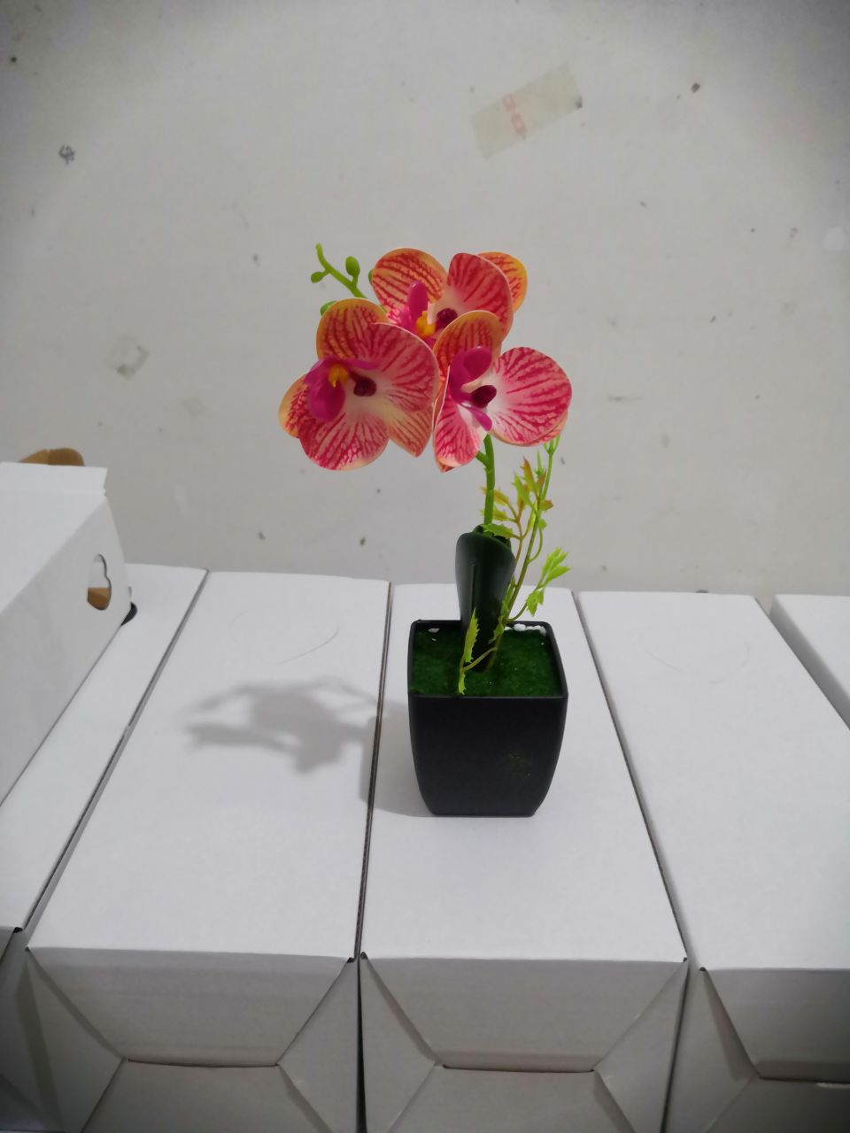Bonsai Specification image