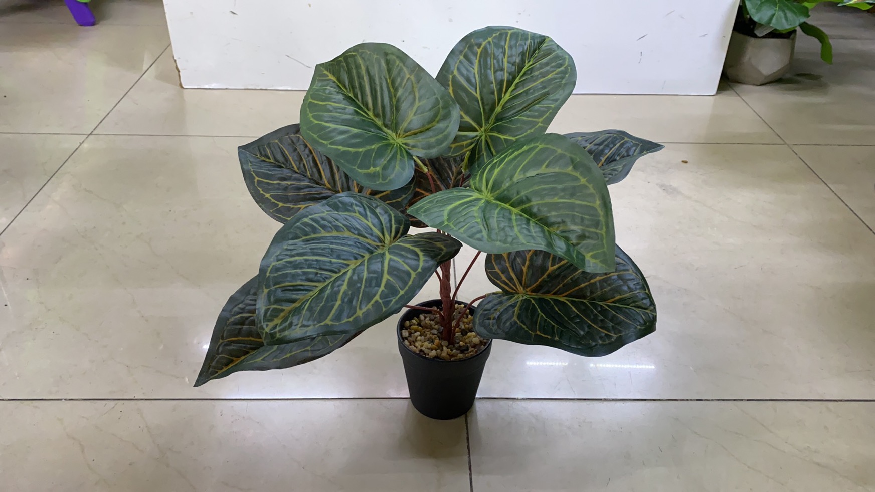 Bonsai Specification image