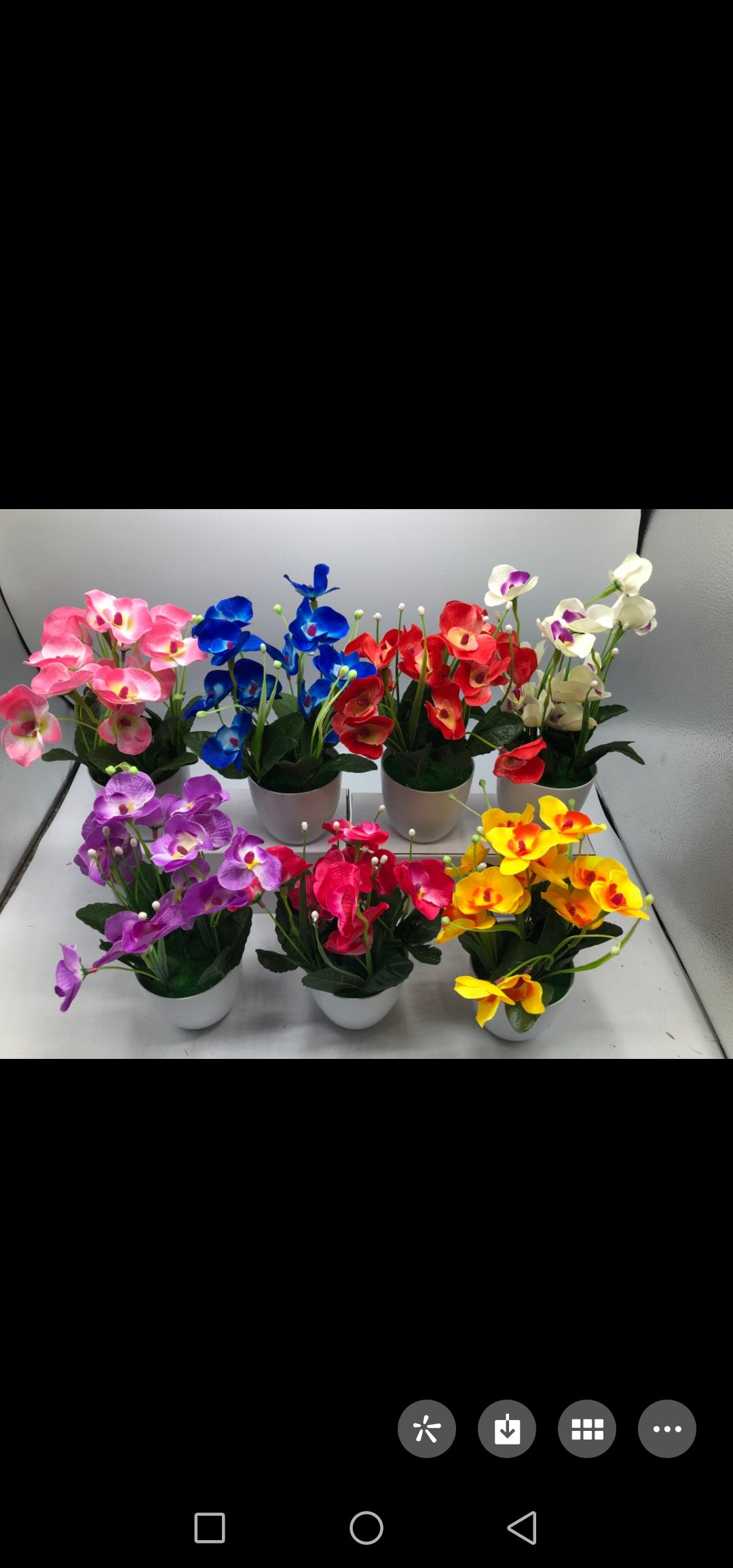 Bonsai Specification image